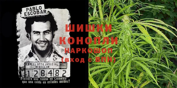 спайс Алзамай